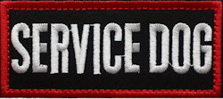 Service dog - Svart/Röd - Patch