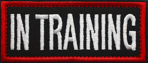 In Training - Svart/Röd - Patch