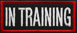 In Training - Svart/Röd - Patch