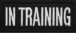 In Training - Svart - Patch