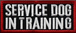 Service dog in training - Svart/röd - Patch