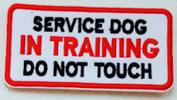 Service Dog in training Do not touch - Patch