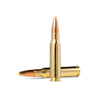 Norma - .308 Win - Plastic Point - 11.0g/180gr - 20/ask