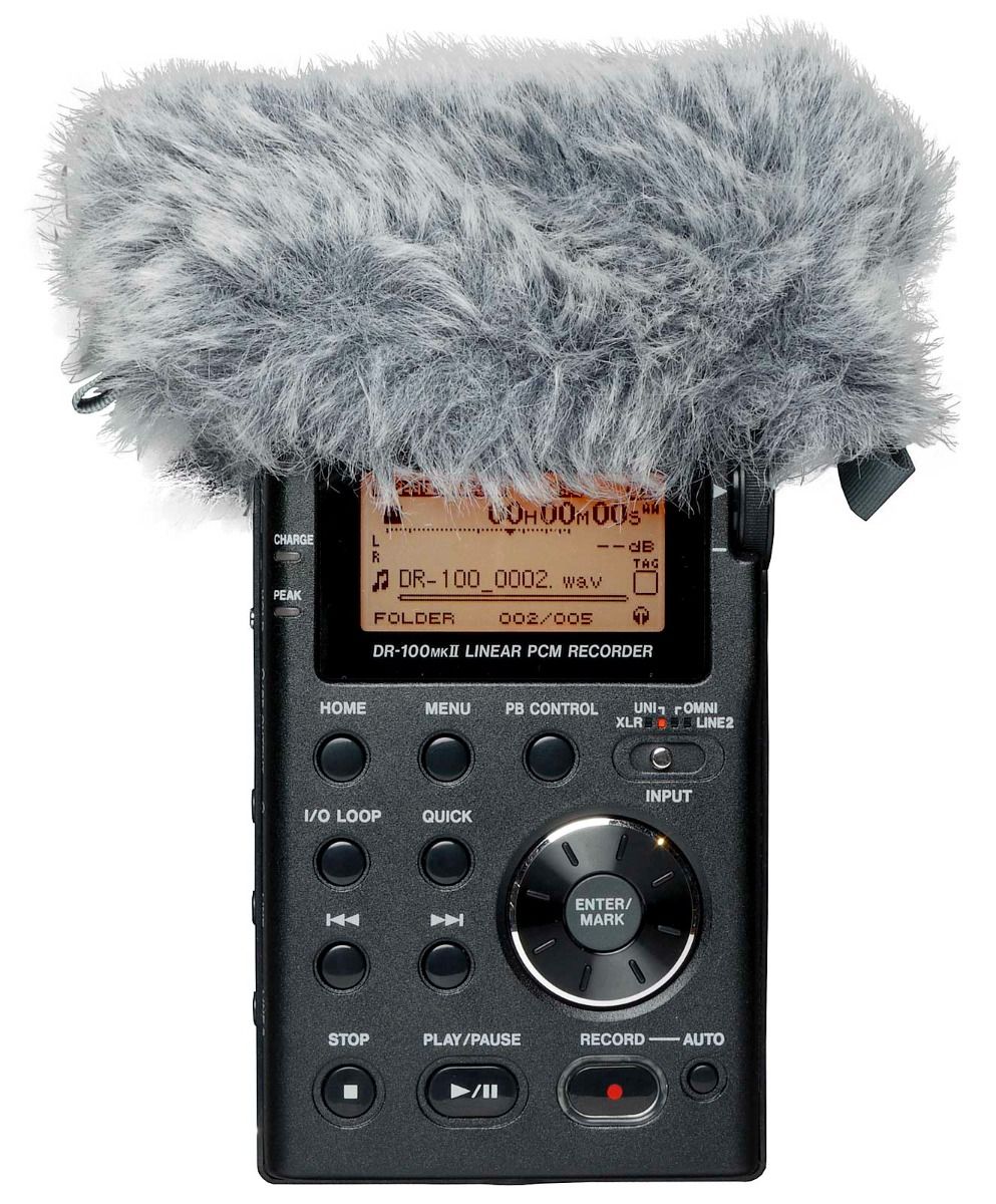 Tascam WS-11 Windscreen for DR series recorders