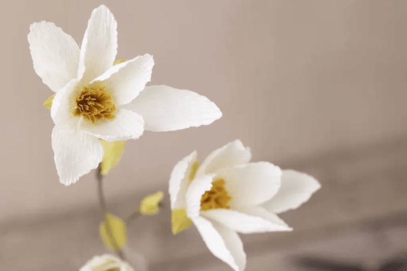 Skapa pappersblommor av kräppapper - magnoliakvist