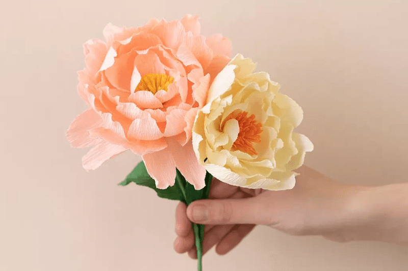 Skapa pappersblommor i kräppapper - pion