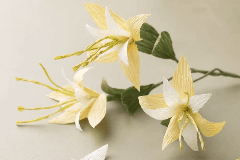 Skapa pappersblommor i kräppapper - klematis