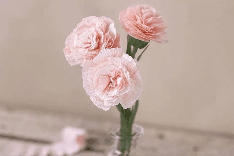 Skapa pappersblommor av kräppapper - nejlikor