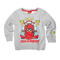 Sweatshirt storlek 92 - Angry Birds