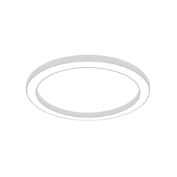 Salvia Ring
