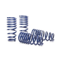 Lowering Springs suitable for Audi S4 Avant 4WD 1998-2002 FA40/RA40mm