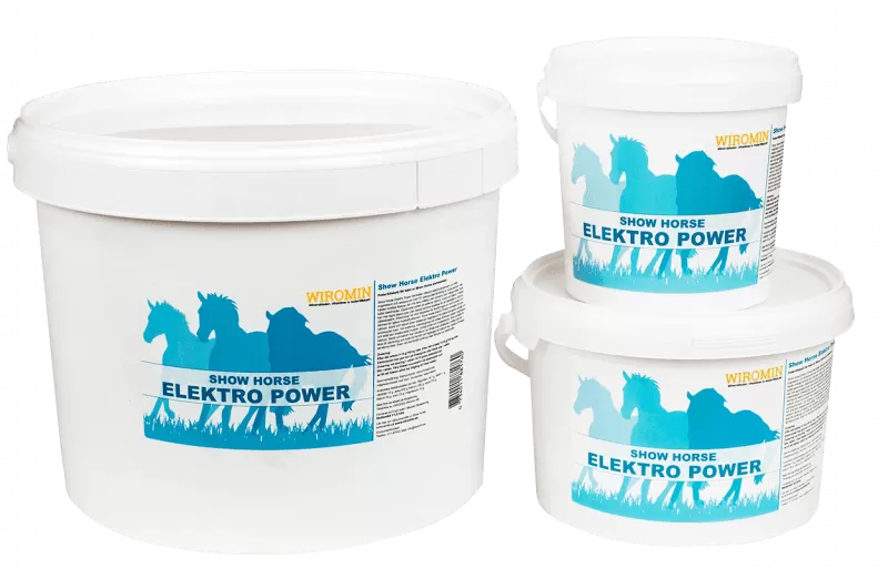 Show Horse Elektro Power