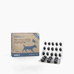nutravet® nutraquin