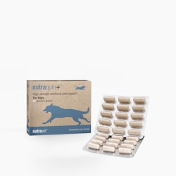 nutravet® nutraquin+