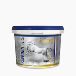 NutriScience MuscleAid