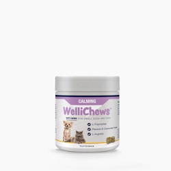 WelliChews™ Calming Soft Chews