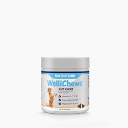 WelliChews™ Multivitamin Soft Chews