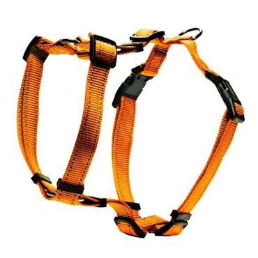 Dogman H-sele Iris Orange