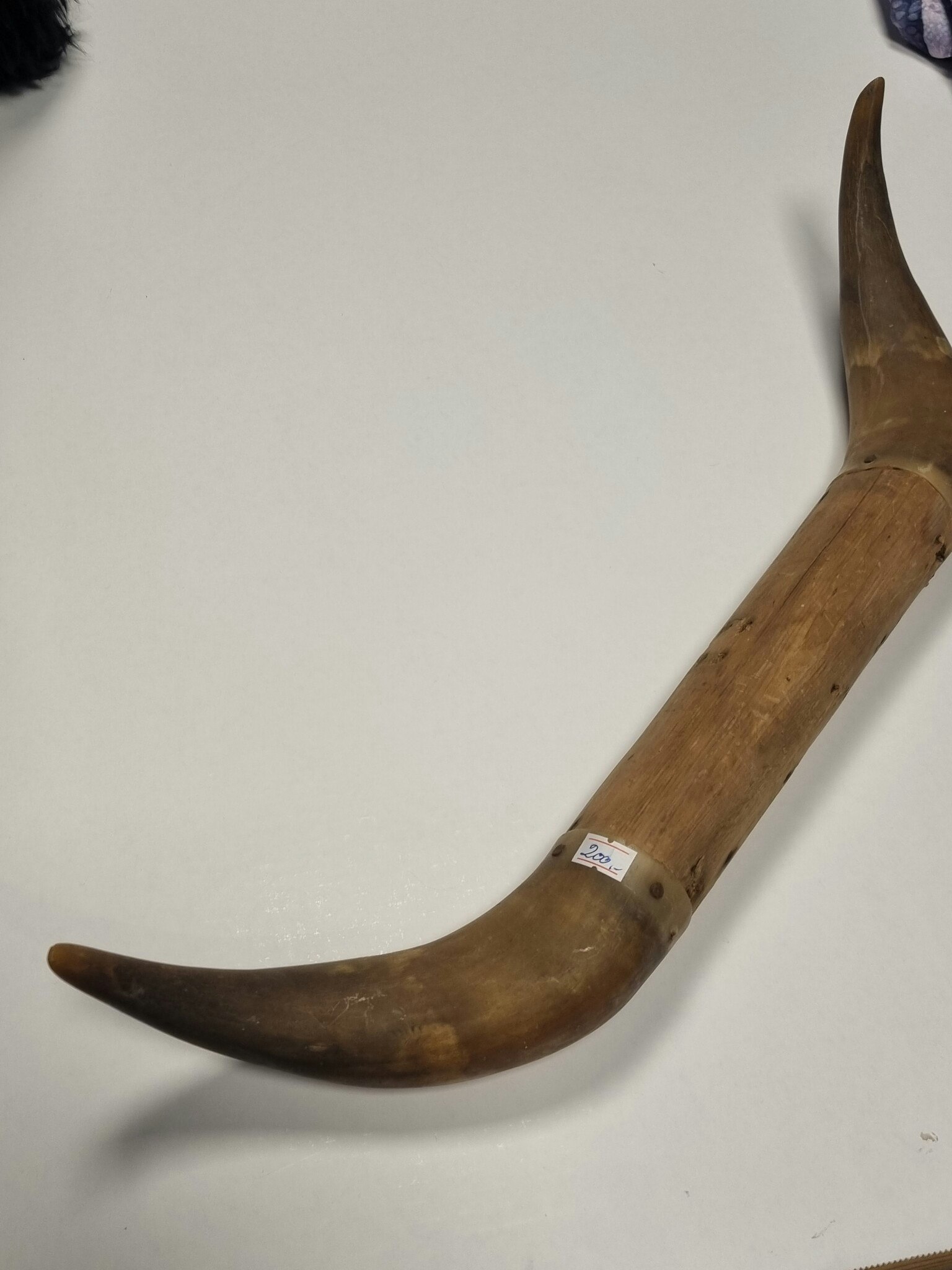 Horn
