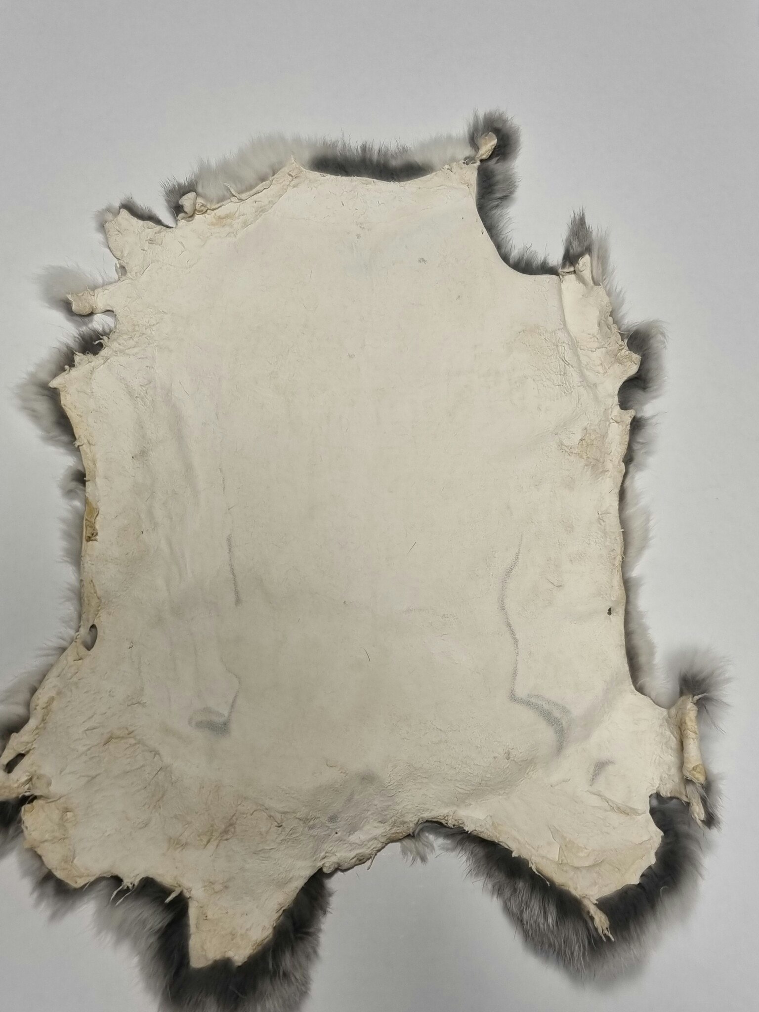 Kaninskinn grått