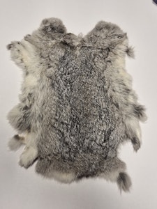 Kaninskinn grått
