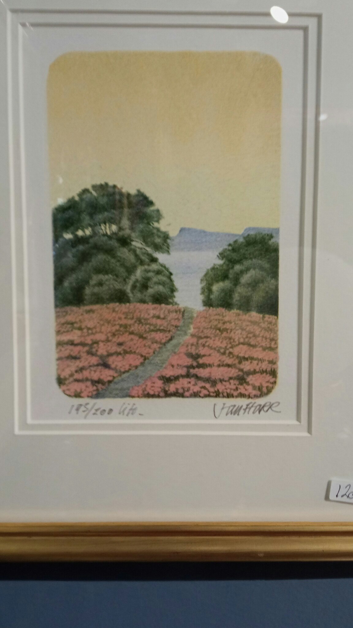 Jan Harr Lito