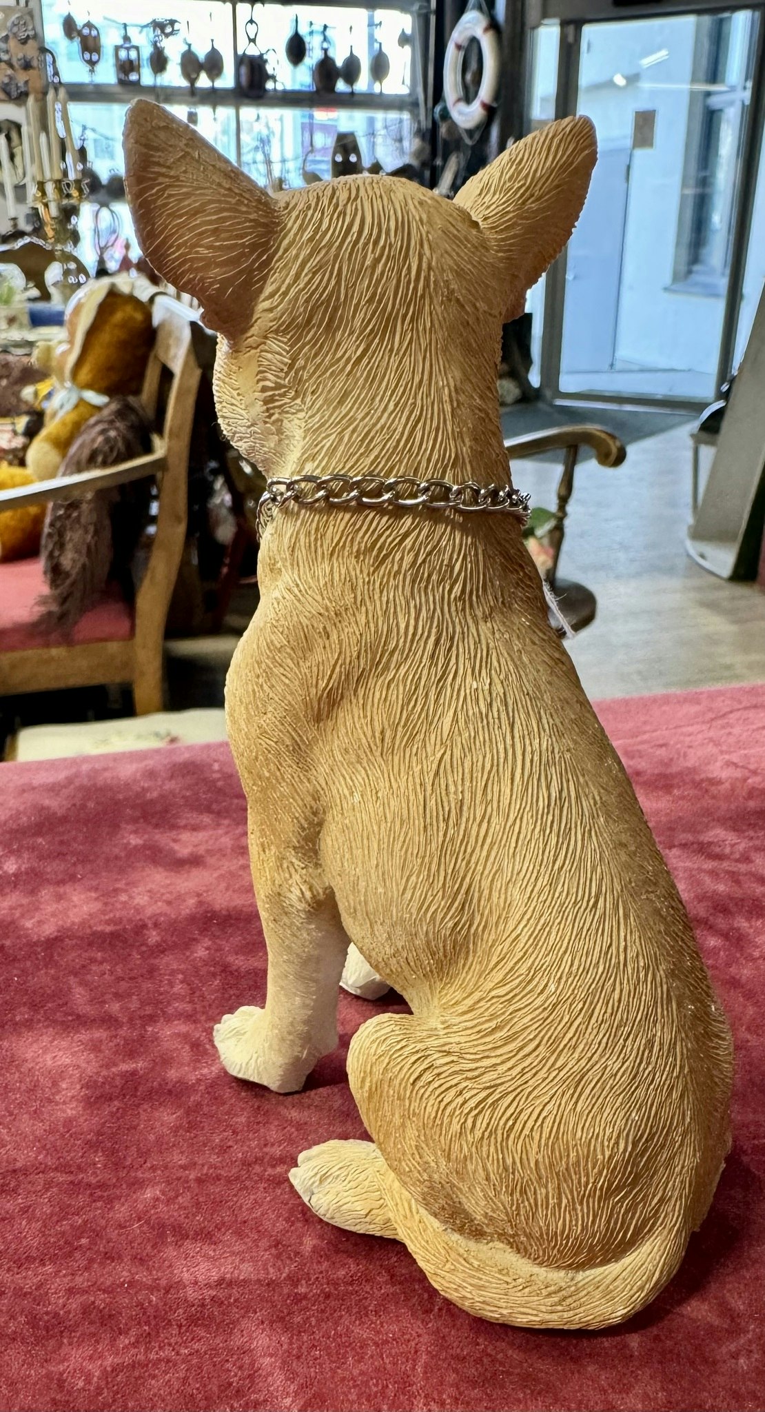 Chihuahua