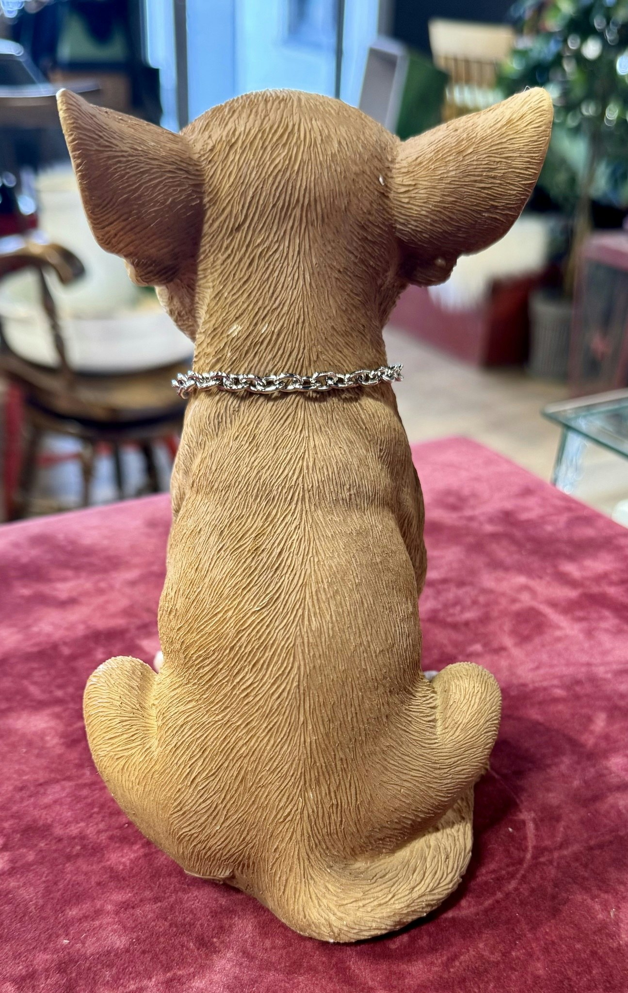 Chihuahua