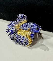 Smykkeboks Kampfisk