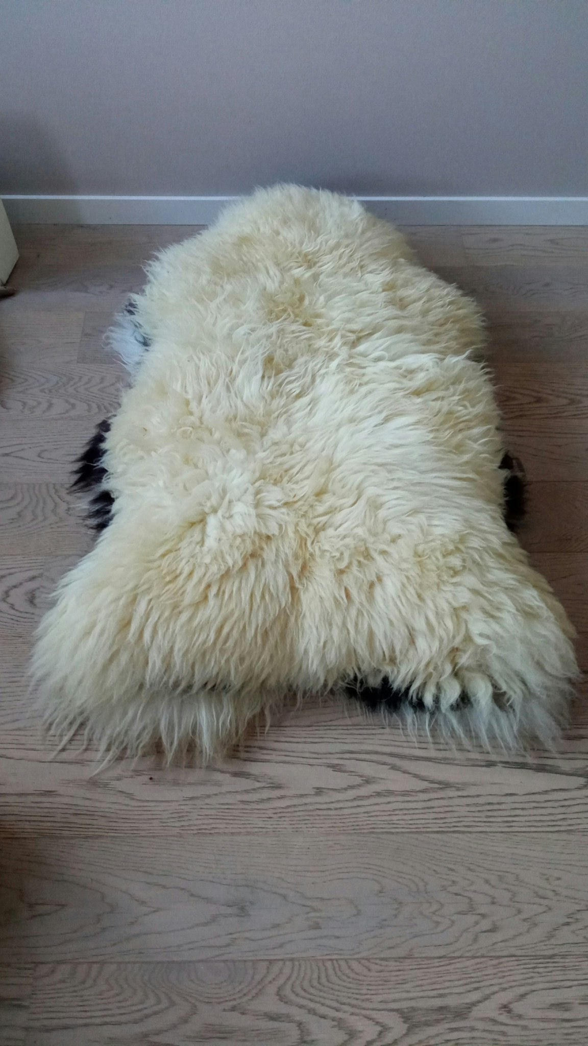 Store hvite skinn  xxxl