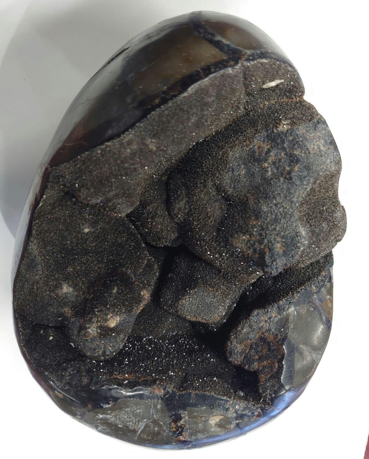 Septerian. Drage egg.