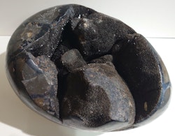 Septerian. Drage egg.