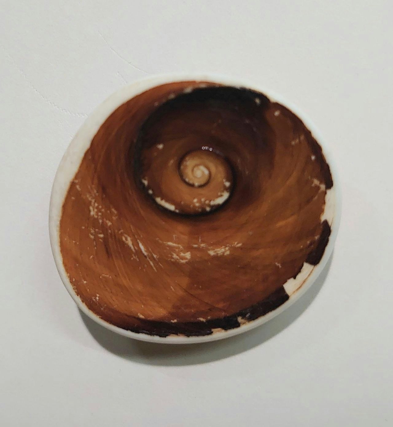 Gomti Chakra