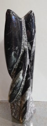 Orthoceras Fossil