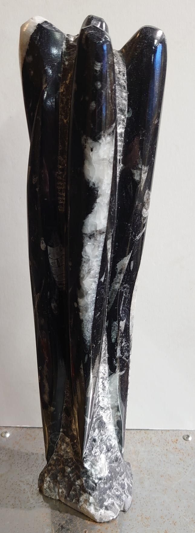 Orthoceras Fossil tårn.