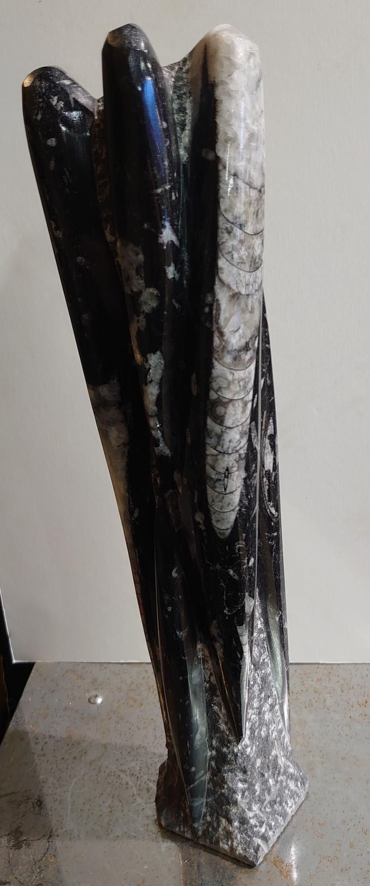 Orthoceras Fossil tårn.