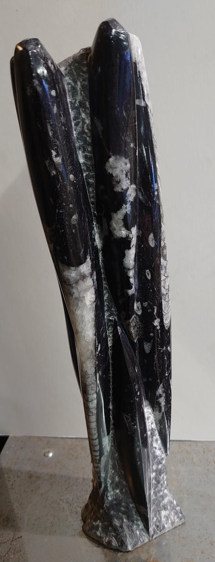 Orthoceras Fossil tårn.