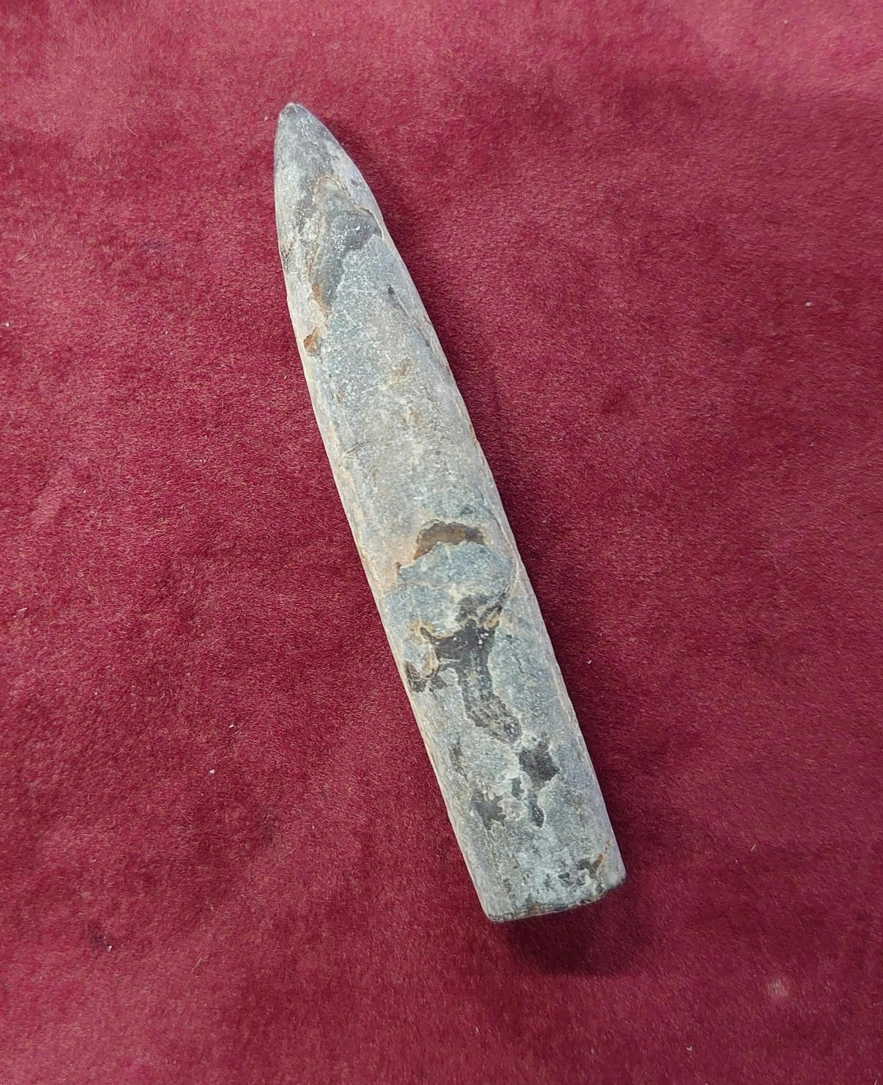 Belemnite Fossil