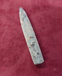 Belemnite Fossil