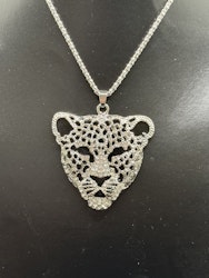 Leopard med kjede