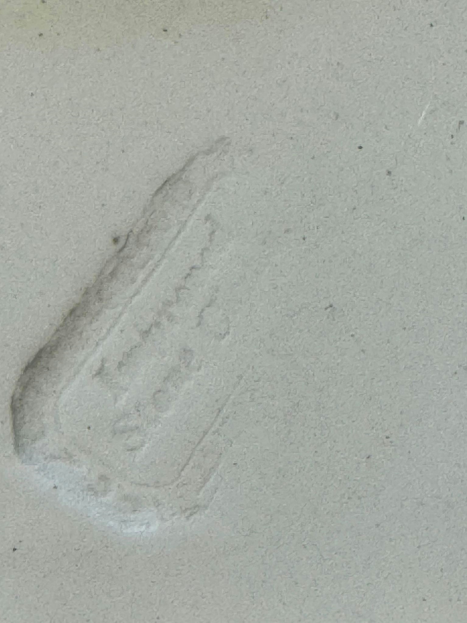 Staffordshire blått og hvitt "siciliansk"