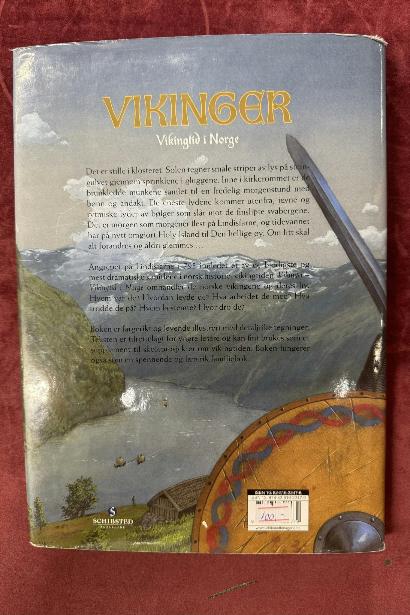 Bok. «Vikinger»