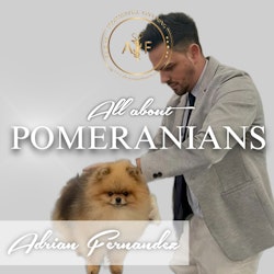Kopia AYF - "HOW TO GROOM A POMERANIAN" with Adrian Fernandez 16 maj kl.19.00-21.00