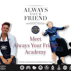 AYF - MEET ALWAYS YOUR FRIEND "PRODUCTS & HOW TO USE" 3 MAJ 20.00