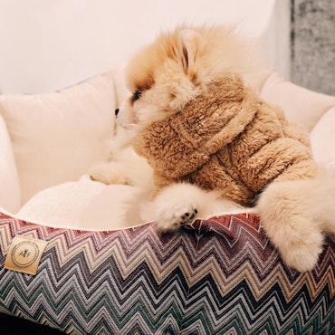 Always Dog Bed Missoni