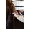 Always EQUINE LINE - Protein Rich Leave in Mask
