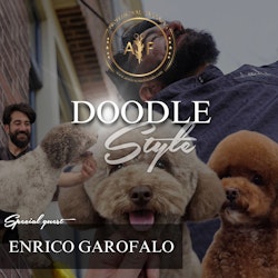 AYF - ACADEMY DOODLE STYLE WITH SPECIAL GUEST ENRICO GAROFALO JUNE 9 AT 12.00