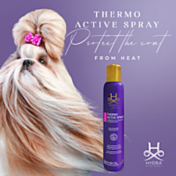 HYDRA PRO THERMO ACTIVE SPRAY 300 ml