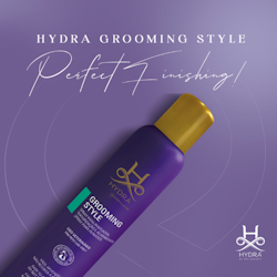 HYDRA PRO GROOMING STYLE SPRAY 300 ML