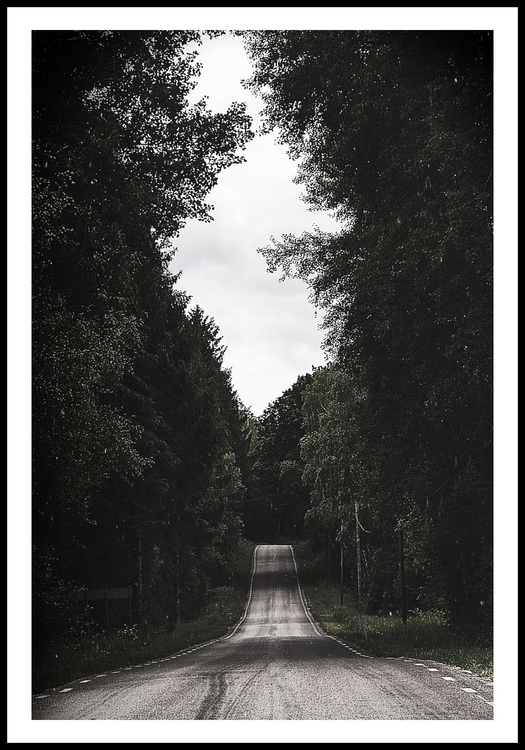 ”Forest road”